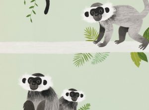 cover tapeta monkey