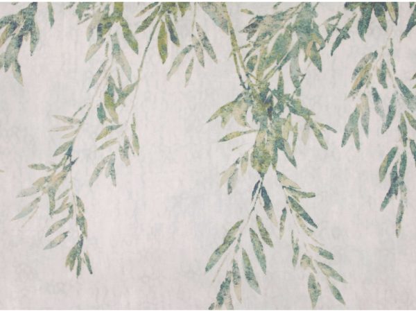 7975 03 aula hummingbird 0X